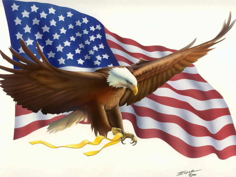 Eagle and Flag of USA